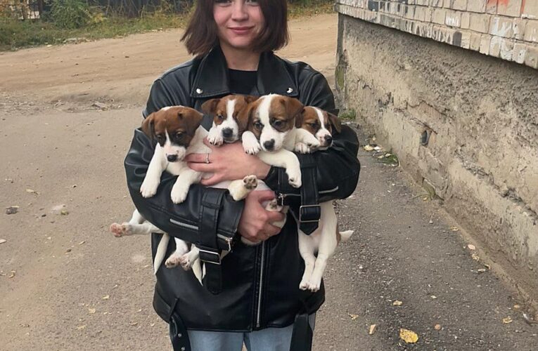 4 октября Всемирный день защиты животных